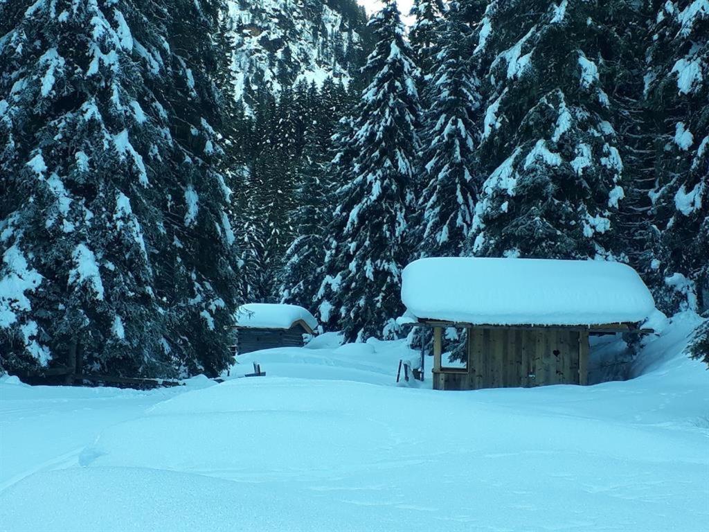 App./Pension Haus Wiesenheim Sankt Anton am Arlberg Buitenkant foto